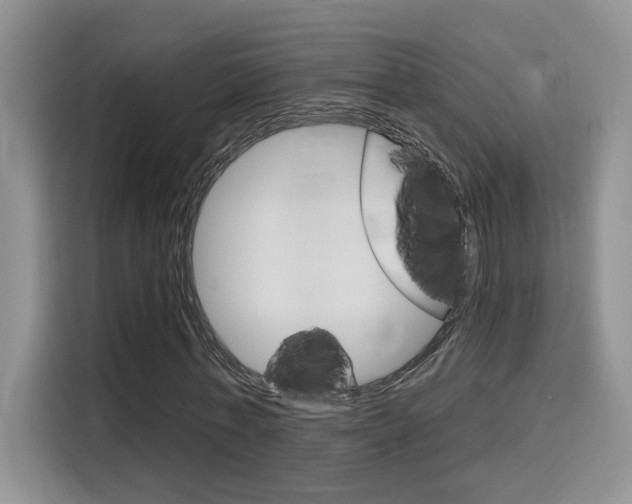 X0000116150771200911230951
