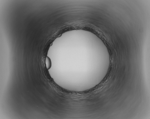 X0000116150772200911230951
