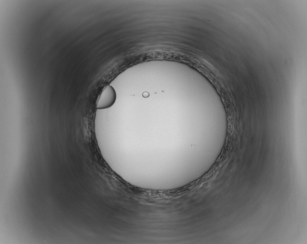X0000116150774200911230951