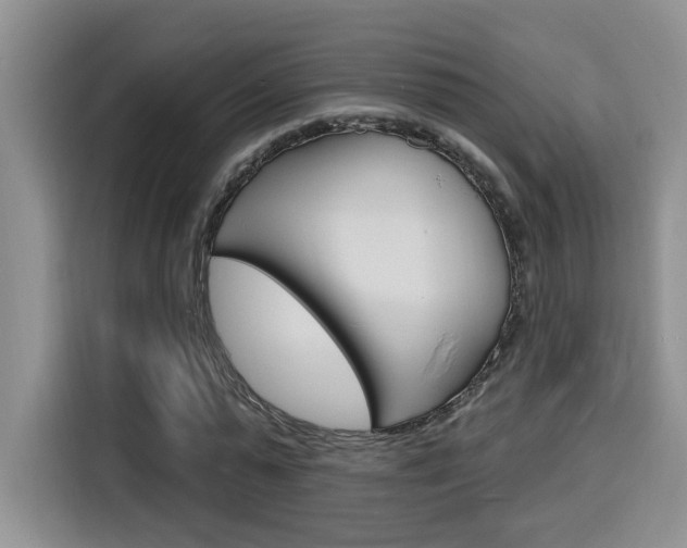 X0000116150775200911230951