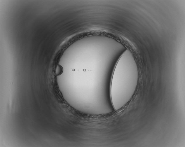 X0000116150776200911230951