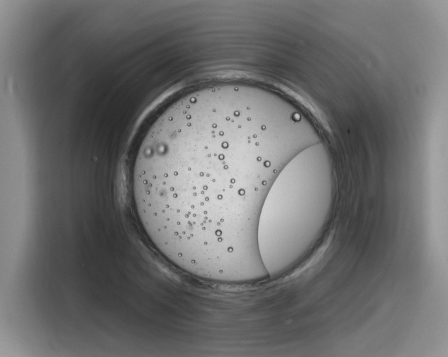 X0000116150782200911230951