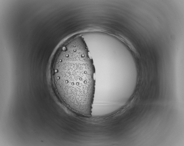 X0000116150784200911230951