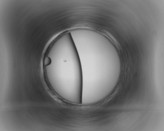 X0000116150788200911230951