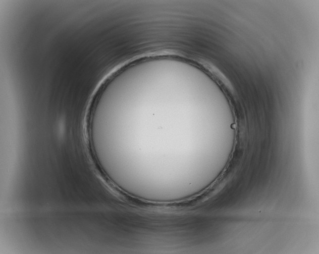 X0000116150789200911230951