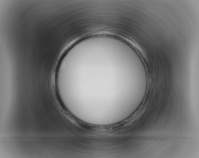 X0000116150790200911230950