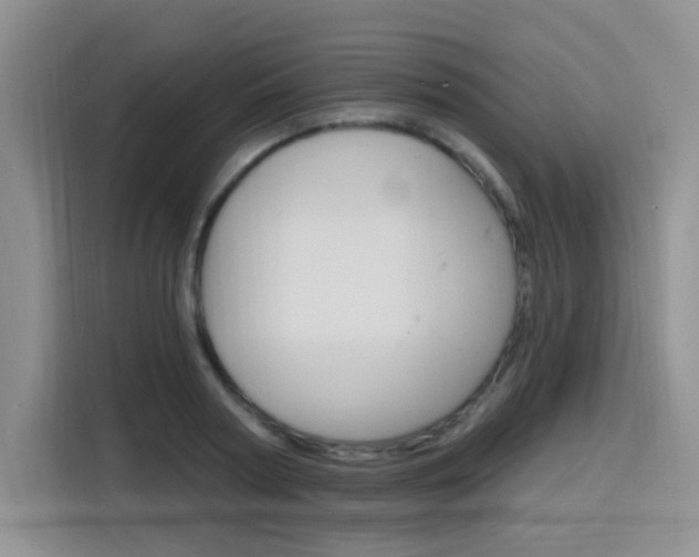 X0000116150794200911230950