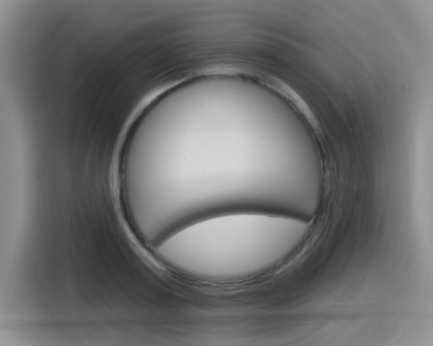 X0000116150795200911230950
