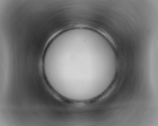 X0000116150798200911230950