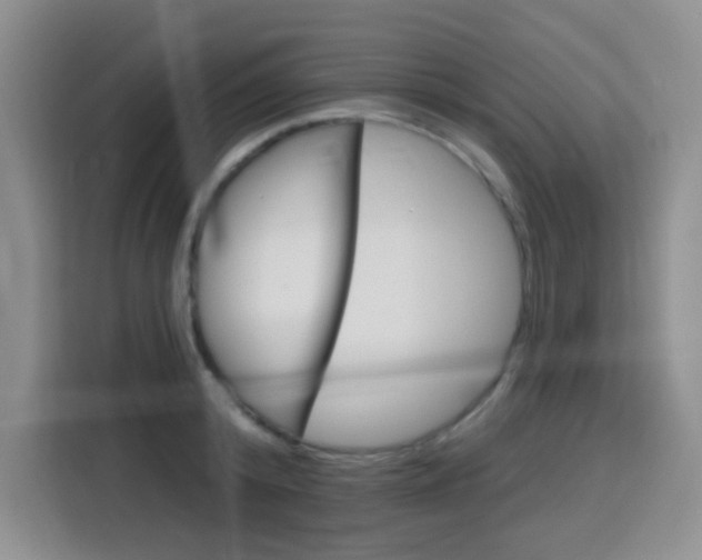 X0000116150800200911230950