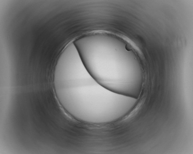 X0000116150801200911230950