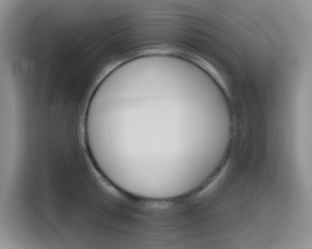 X0000116150802200911230950