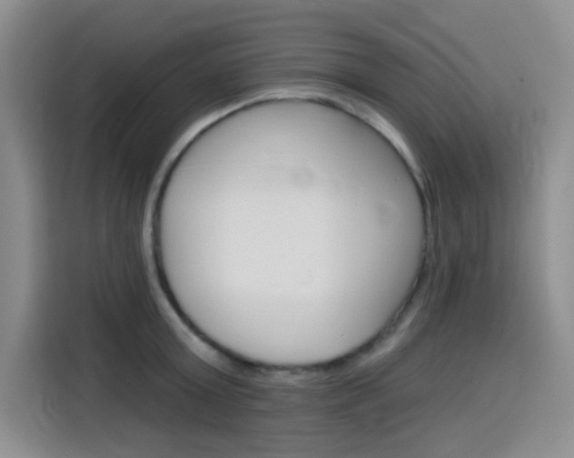 X0000116150803200911230950