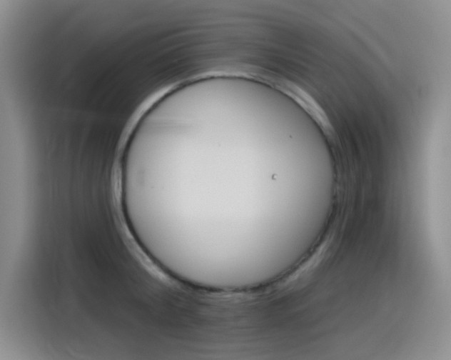 X0000116150804200911230950