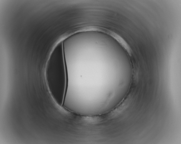 X0000116150805200911230950