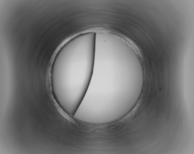 X0000116150808200911230950