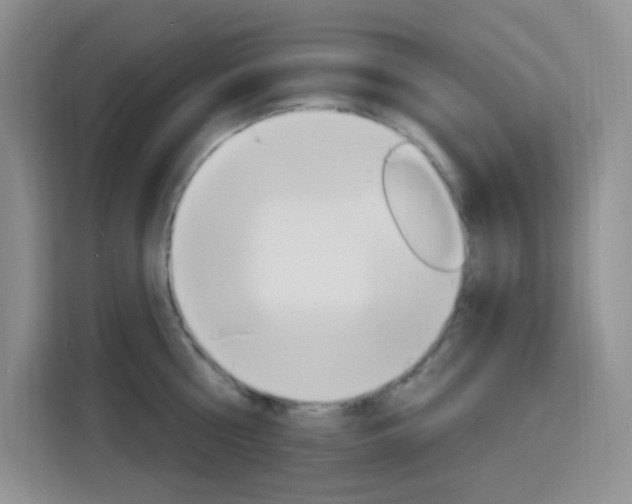 X0000116150810200911230950