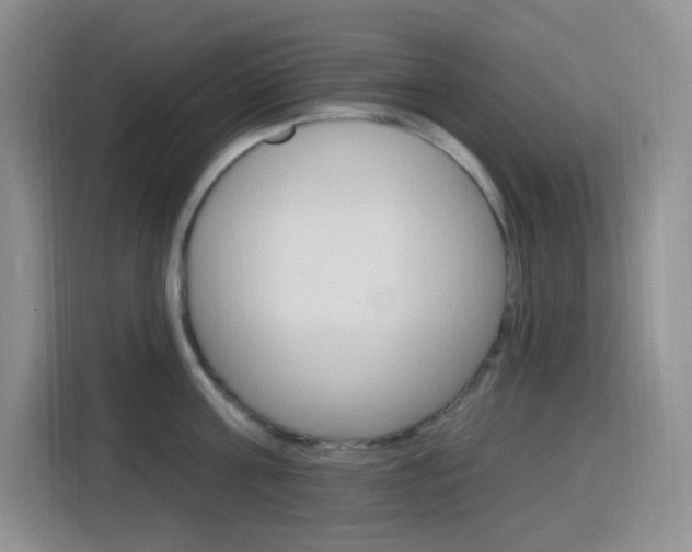 X0000116150811200911230950