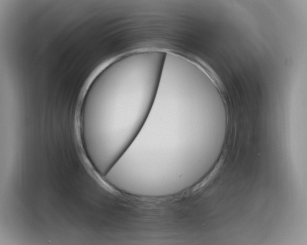 X0000116150812200911230950