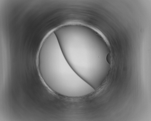 X0000116150815200911230950