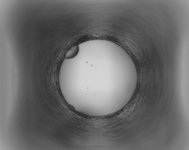 X0000116150817200911230950