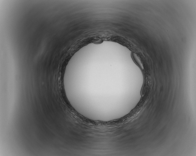 X0000116150818200911230950