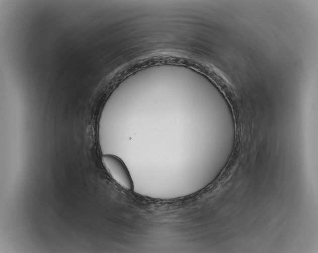 X0000116150821200911230950