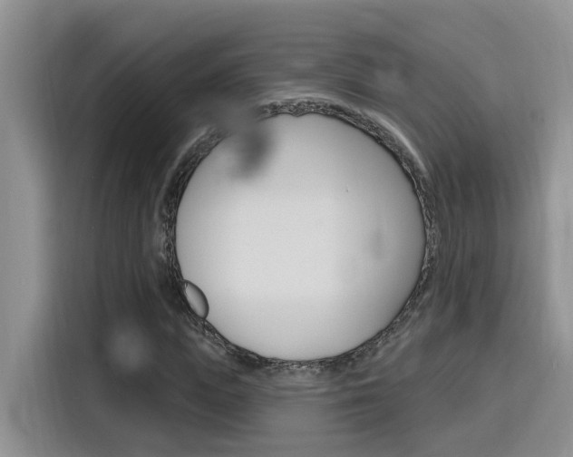 X0000116150823200911230950