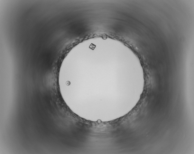 X0000116150824200911230950