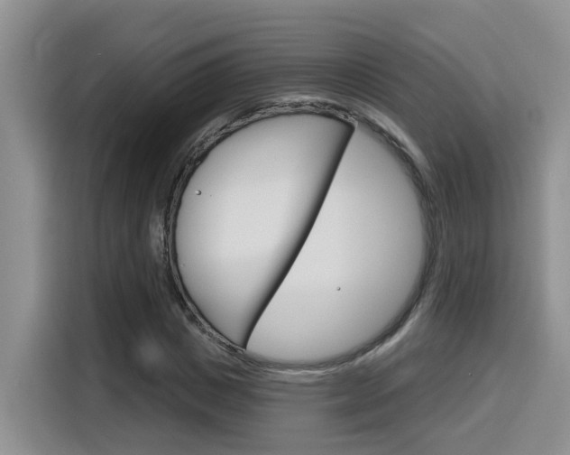 X0000116150825200911230950
