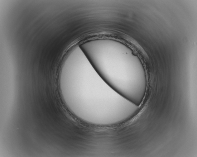 X0000116150826200911230950