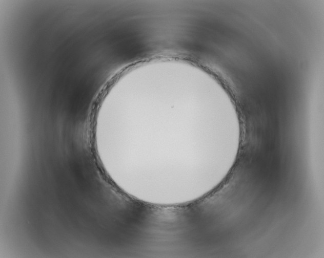 X0000116150828200911230950