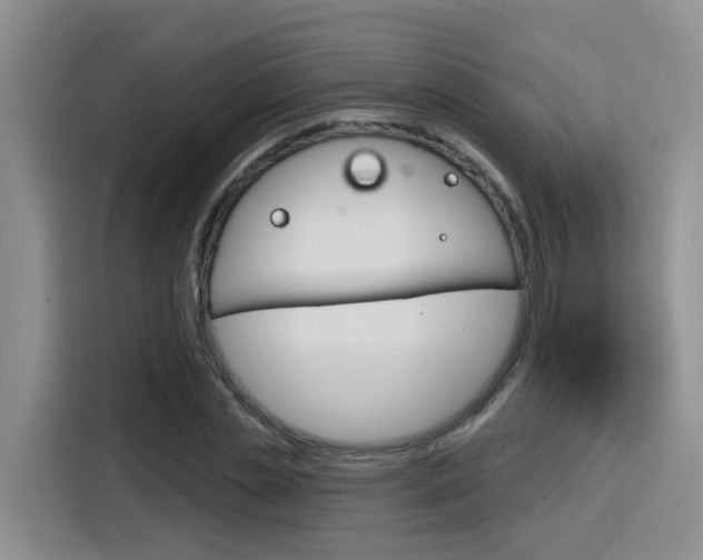 X0000116150829200911230950