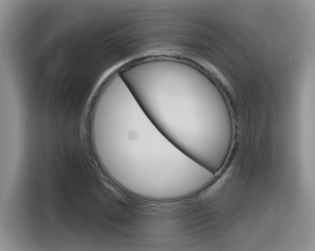 X0000116150830200911230950