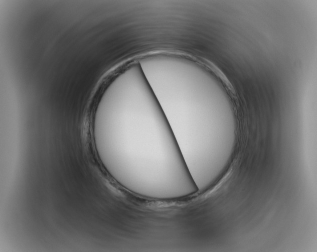 X0000116150831200911230950