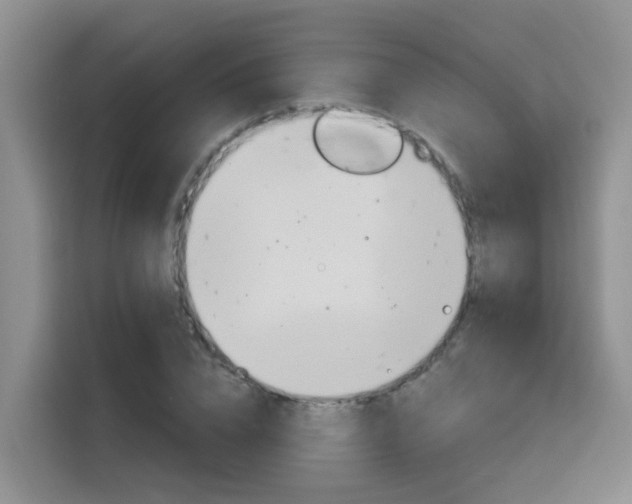 X0000116150832200911230950