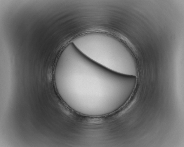 X0000116150833200911230950