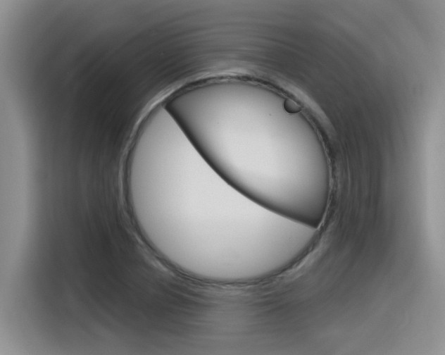X0000116150834200911230950