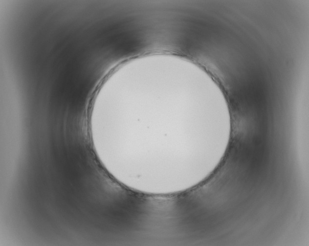 X0000116150836200911230950