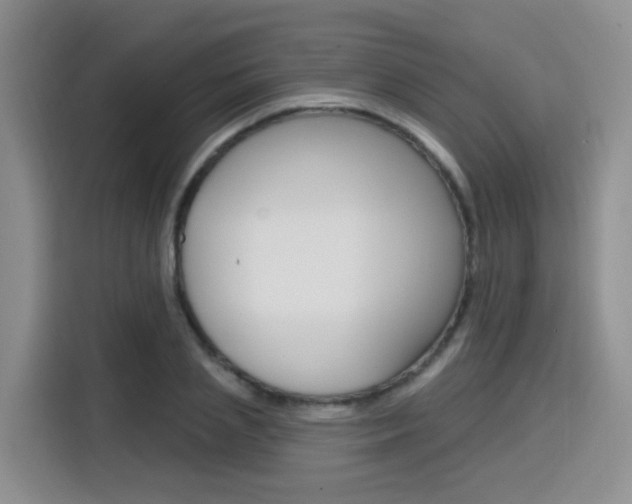 X0000116150837200911230950