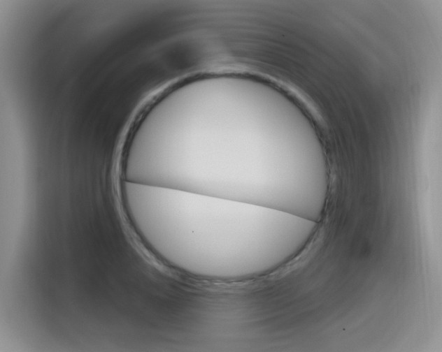 X0000116150840200911230950