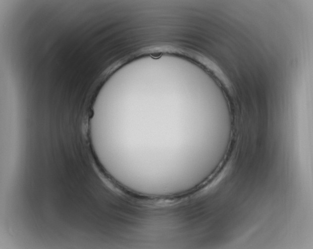 X0000116150841200911230950