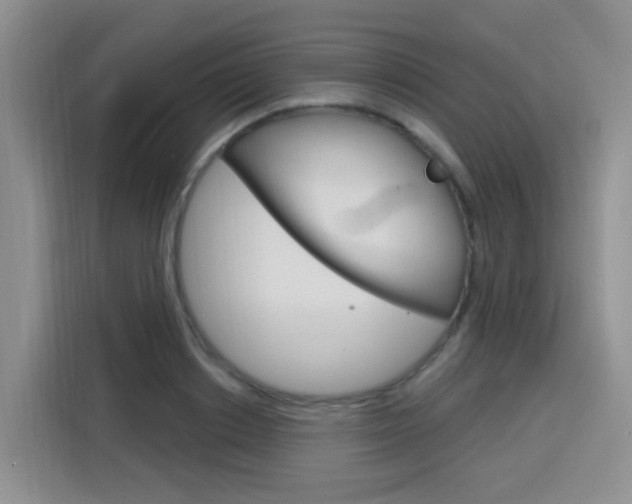 X0000116150842200911230950