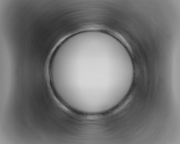 X0000116150843200911230950