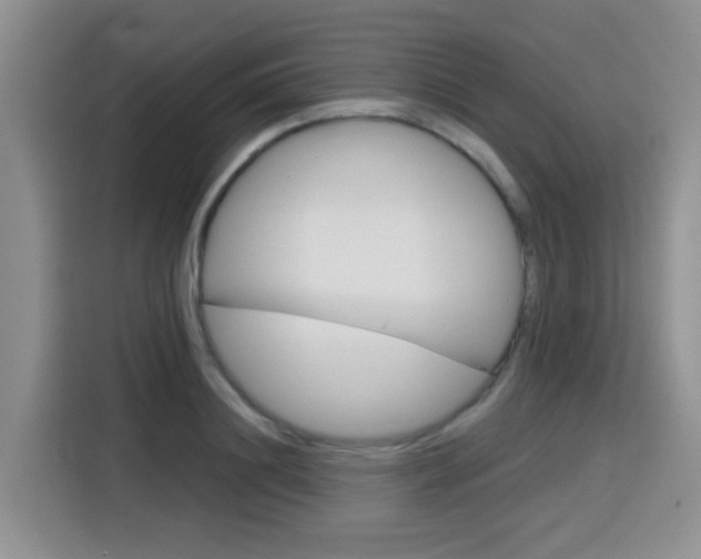 X0000116150844200911230950