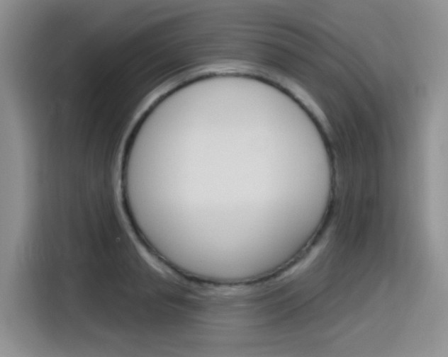 X0000116150845200911230950