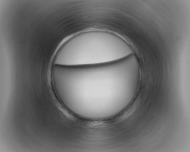 X0000116150846200911230950