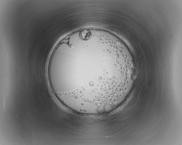 X0000116150848200911230950