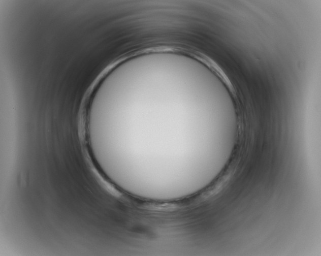 X0000116150851200911230950
