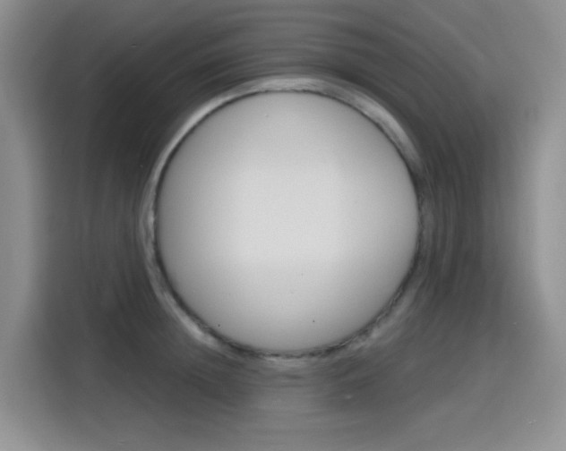 X0000116150852200911230950